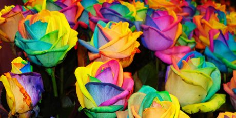 Expoflora: culinária e a beleza das flores