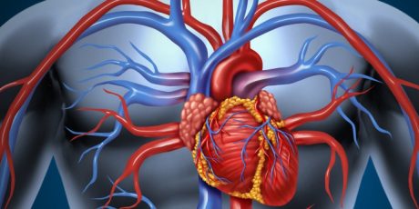 Vai Viajar? Visite um cirurgião vascular!